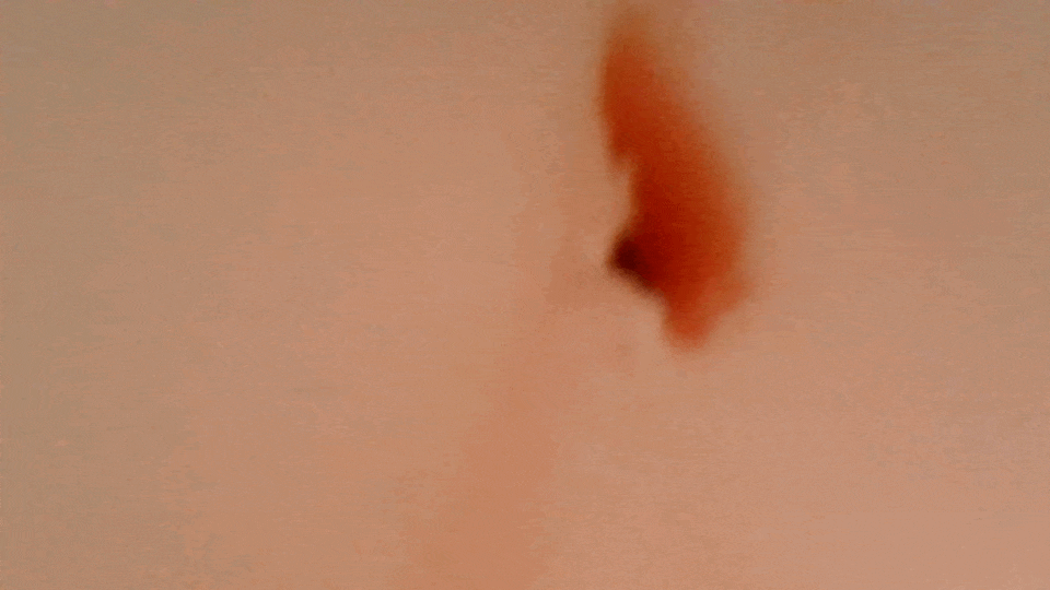 ぷにあなミラクル爆乳DX 後穴的內部攝影