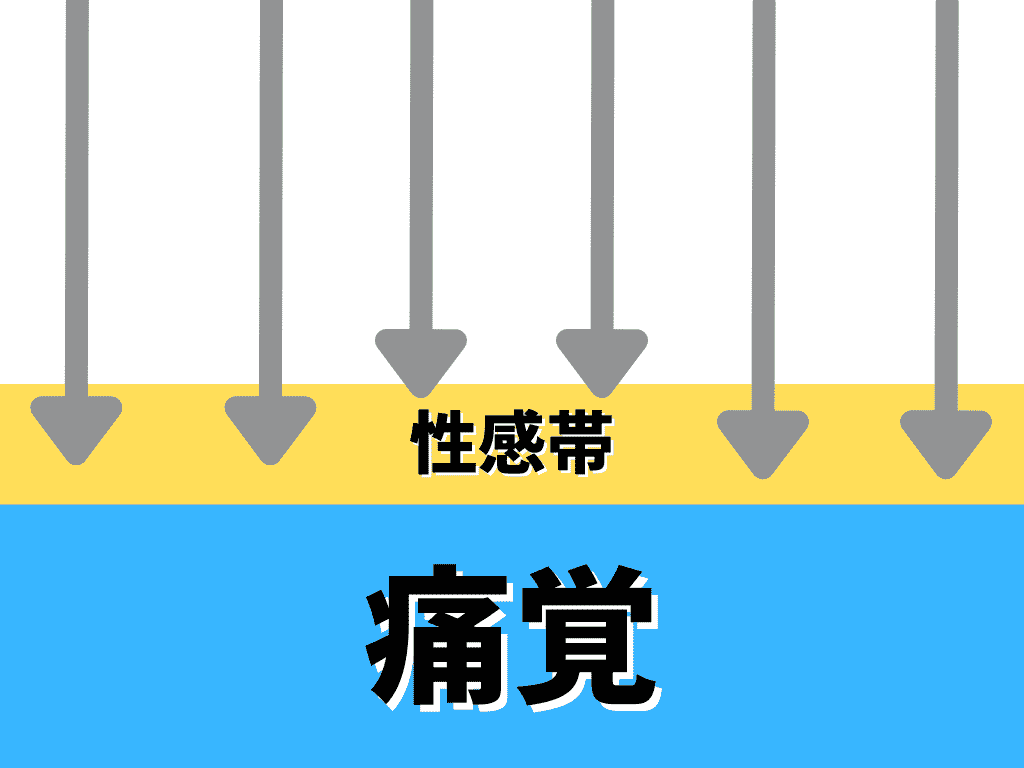 TENGA FLIP 0（ZERO）GRAVITY BLACK 不會痛的原因