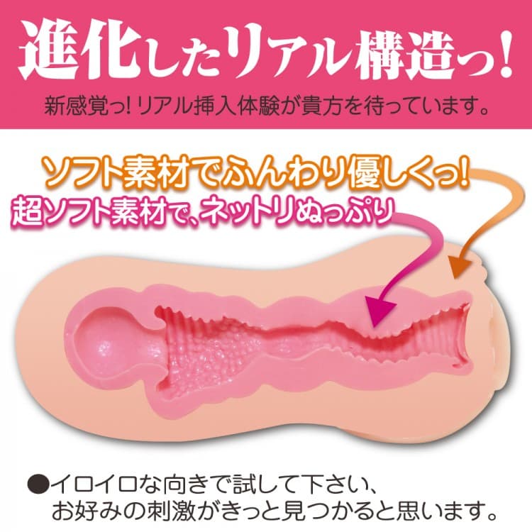 セブンティーンevo的內部結構