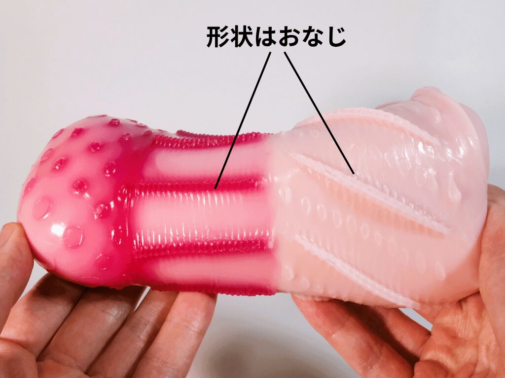 危險的淫災 紅尾 的縱向皺褶形狀相同