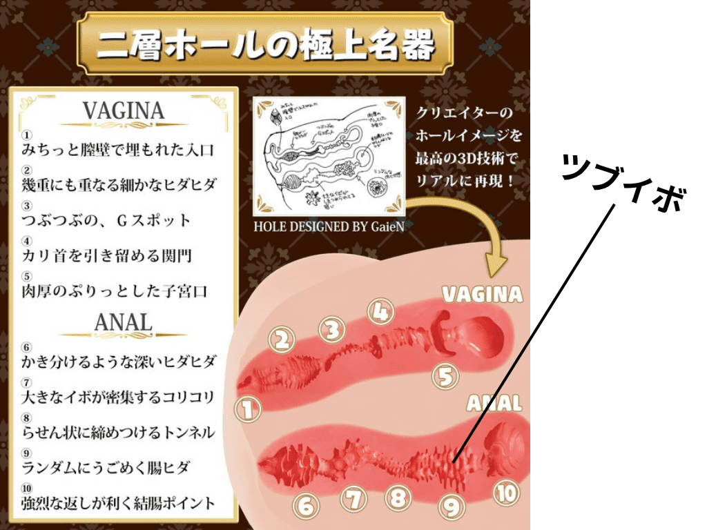 RealBody系列 超乳 北大路花音的內部結構