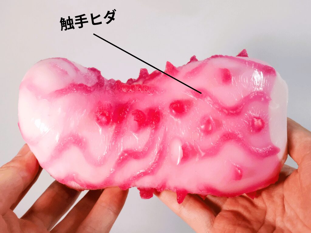 侵蝕の肉壺 的觸手皺褶