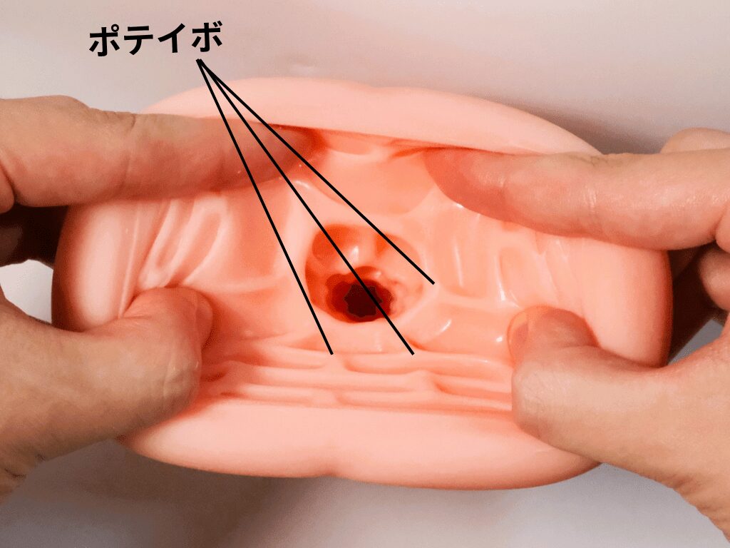 沼らせループ スクエアフィット 有顆粒