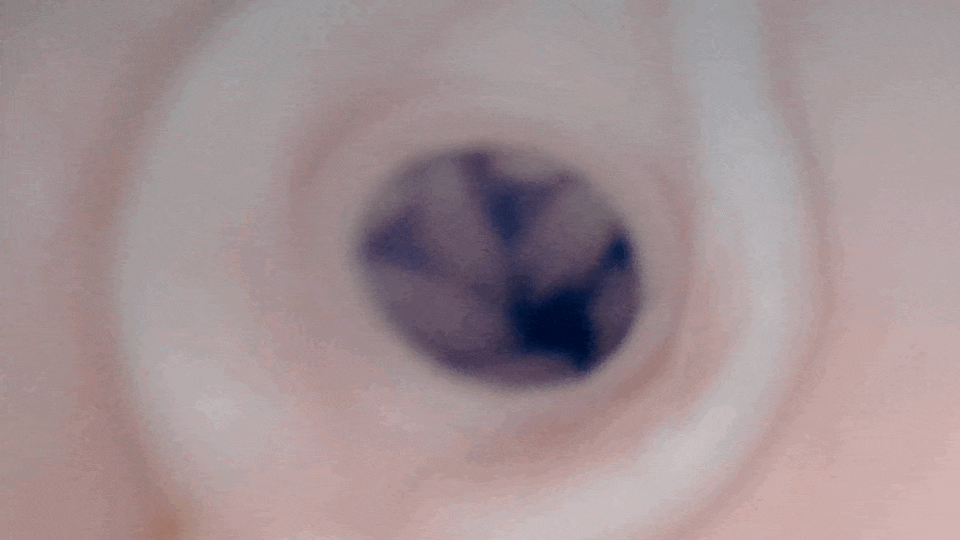 危險的淫災 紅尾 的內部鏡頭