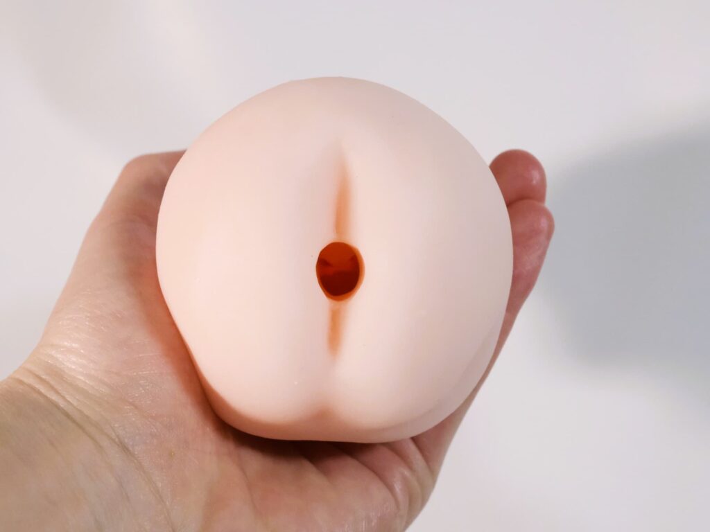 感觸標本 包纏的入口