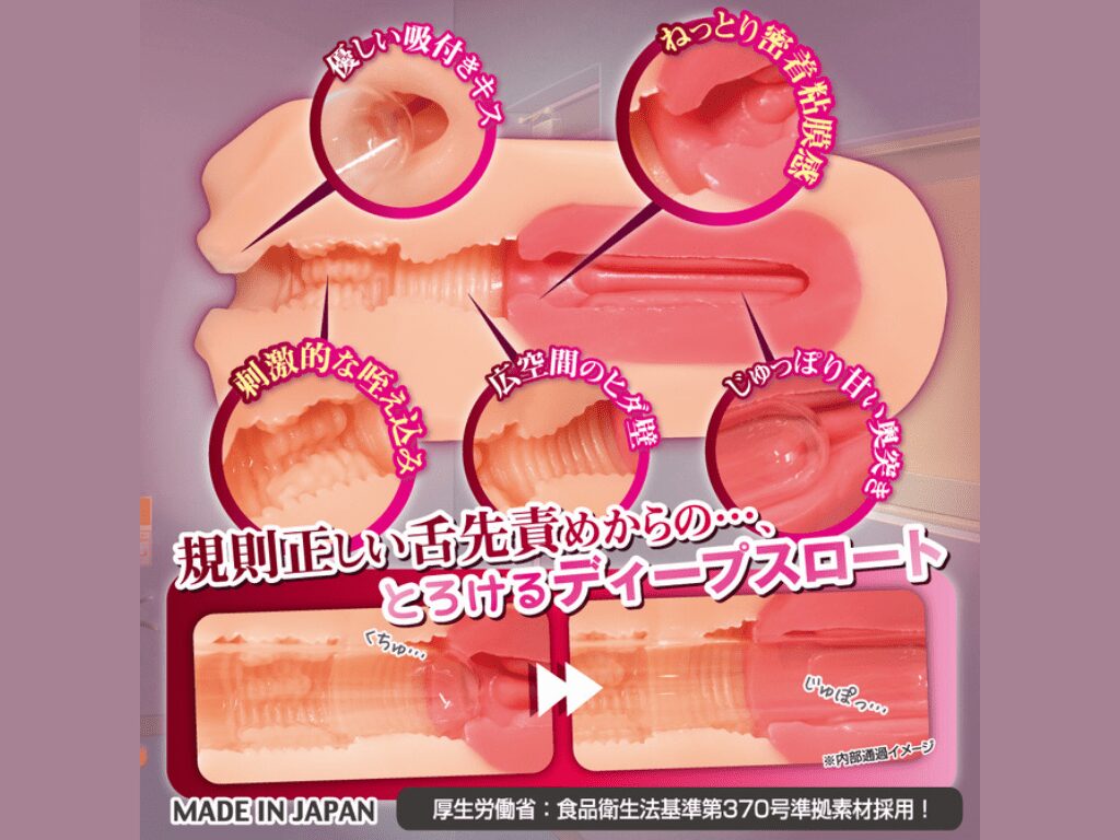 性徒會長口部 自慰器 的內部結構