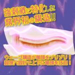 紡紗邊境的內部結構