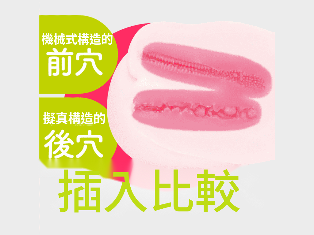 ぷにあなミラクルDX的內部結構