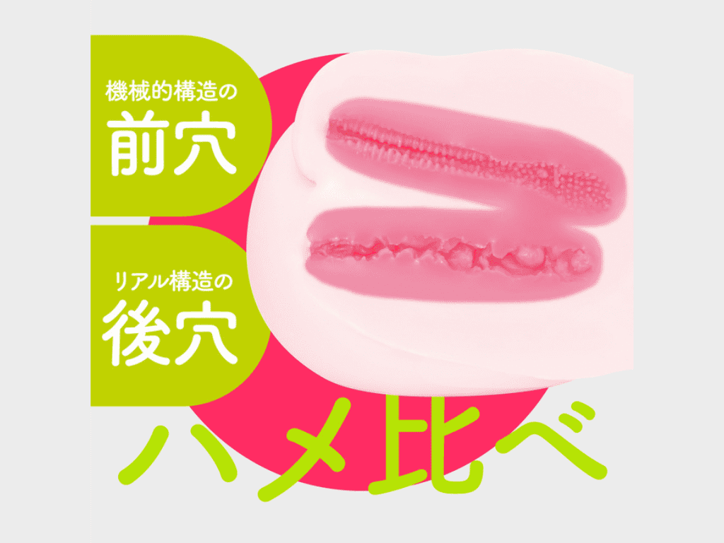 ぷにあなミラクルDX的內部結構