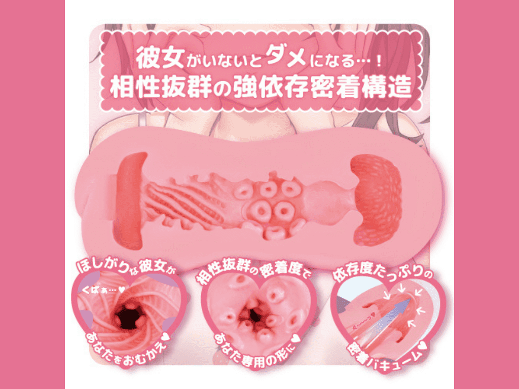 病嬌小姐 軟版的內部結構