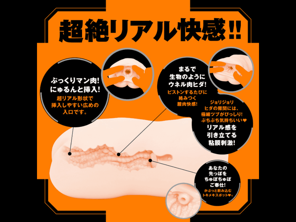 普妮安娜電動飛機杯 REAL的內部結構