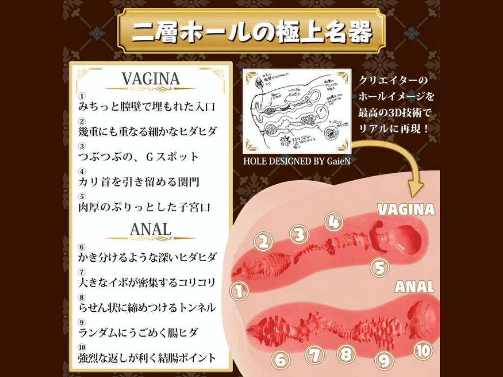 RealBody系列 超乳 北大路花音的內部結構