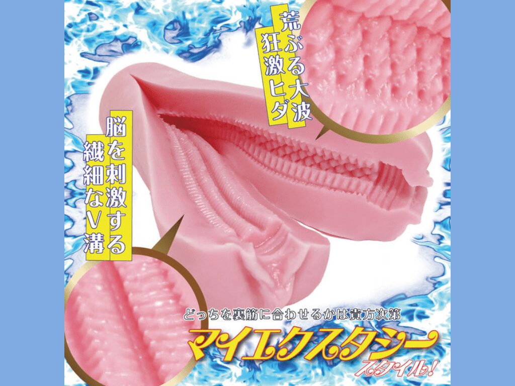 滑穴咕溜刺激 的內部結構