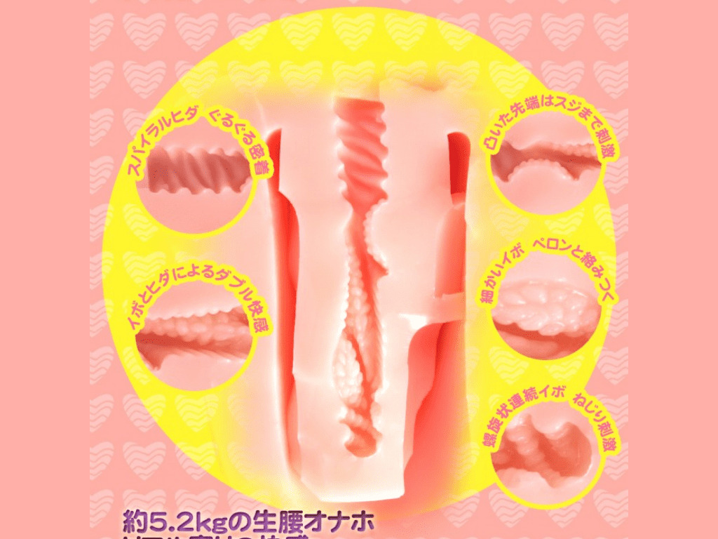 白桃姫的內部結構