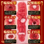 名器的證明 16 特別版 瀨戸環奈的內部結構