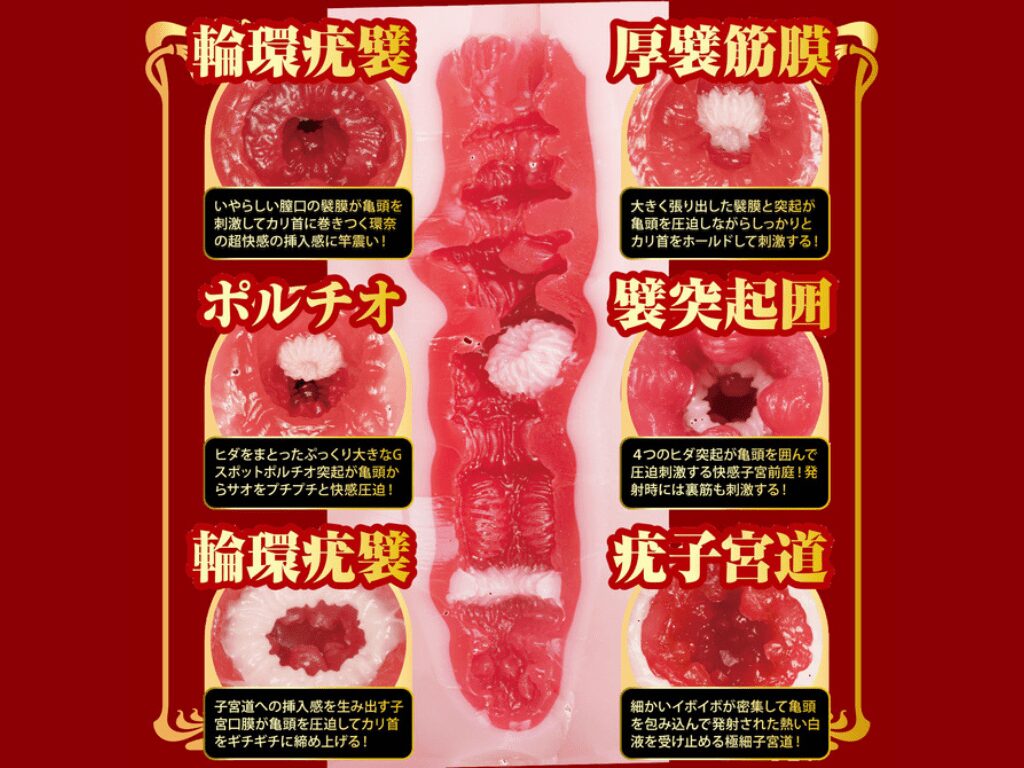 名器的証明 No.016 特別版 瀨戶環奈 的內部結構