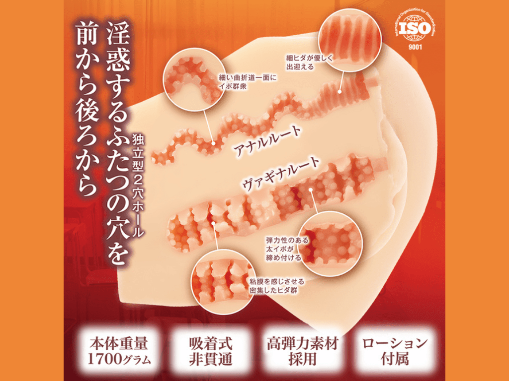 淫惑サジェスチョン的內部結構