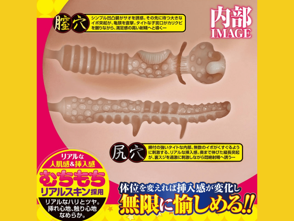 究極女体絶景的內部結構