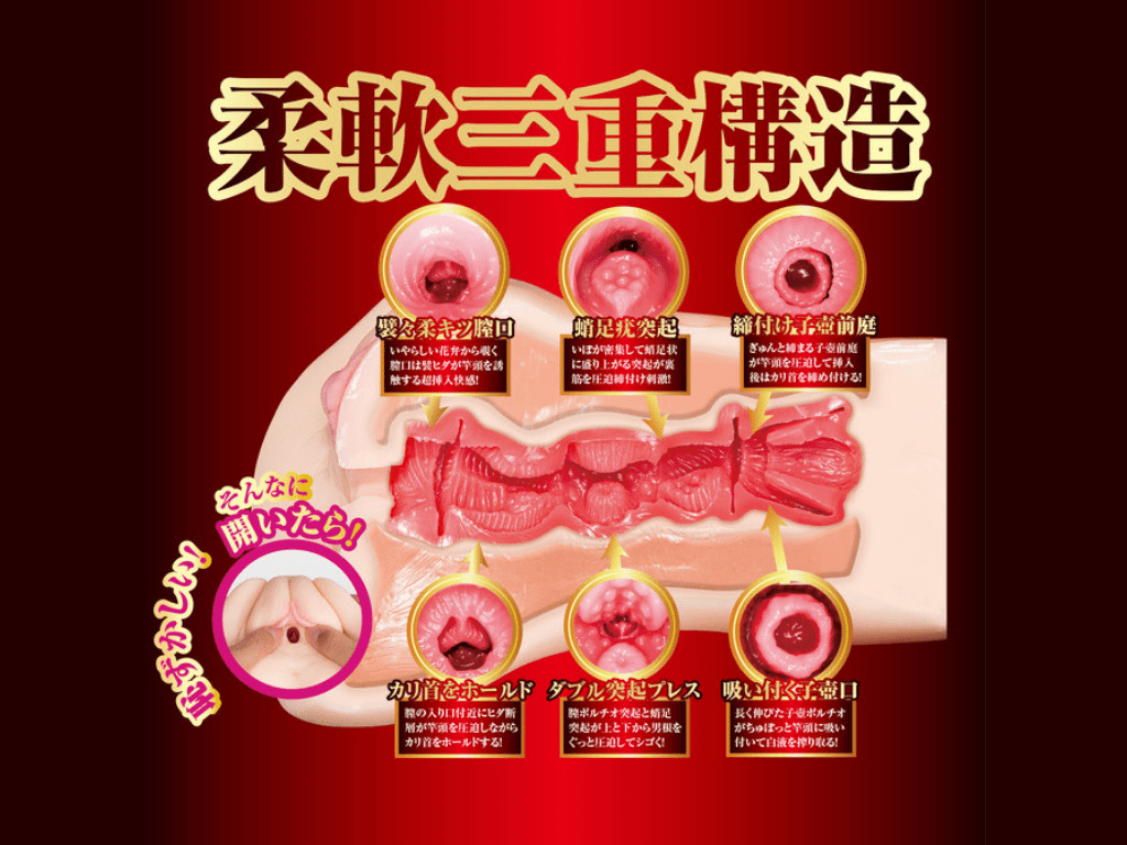 榮譽的名器 橋本有菜的內部結構