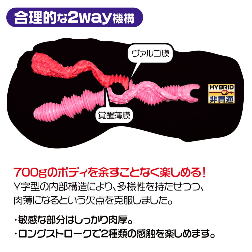 ラビアンローゼス 的雙向機構