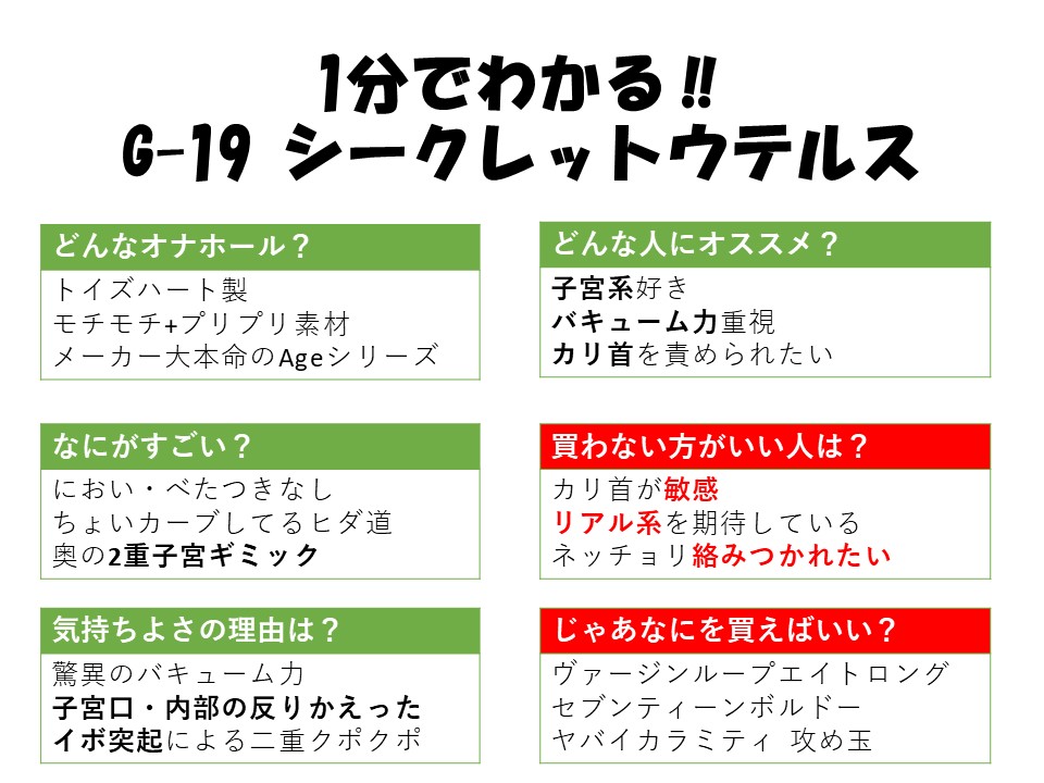 1分鐘看懂G-19 秘密子宮
