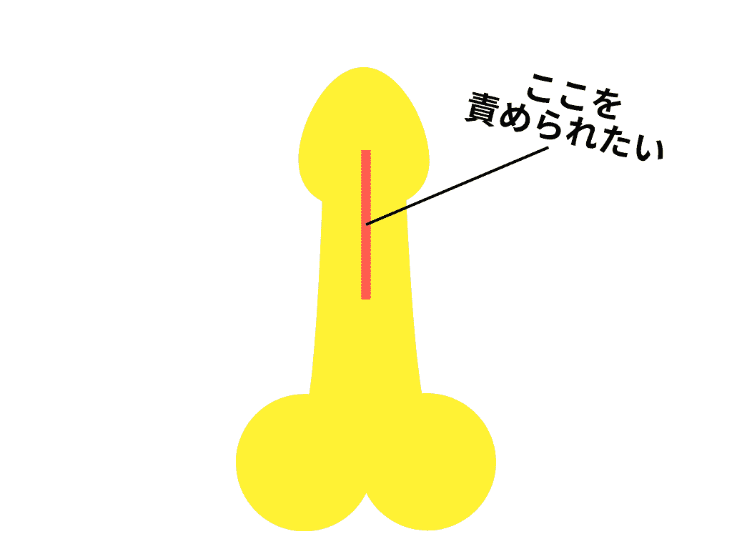 龜頭的龜頭繫帶