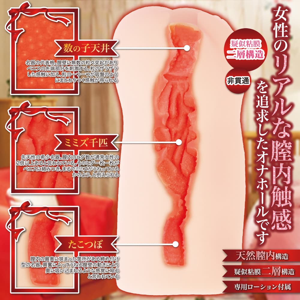 赤裸々サンクチュアリ的內部結構