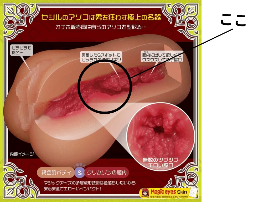 Cecile 岸和田賽希爾 成人玩具銷售員的工作很辛苦的瘤嵌入的原因
