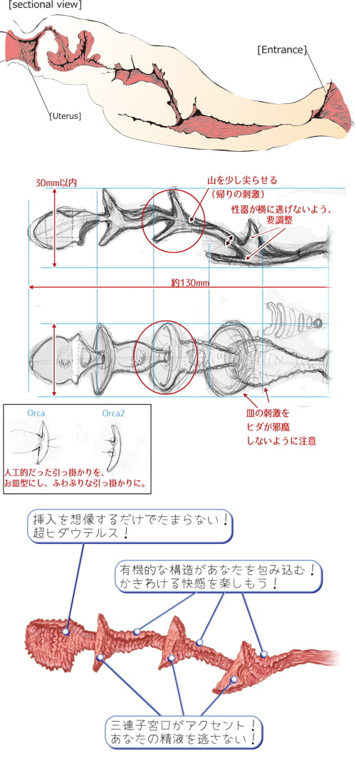 Dolphin!(ドルフィン)內部設計圖