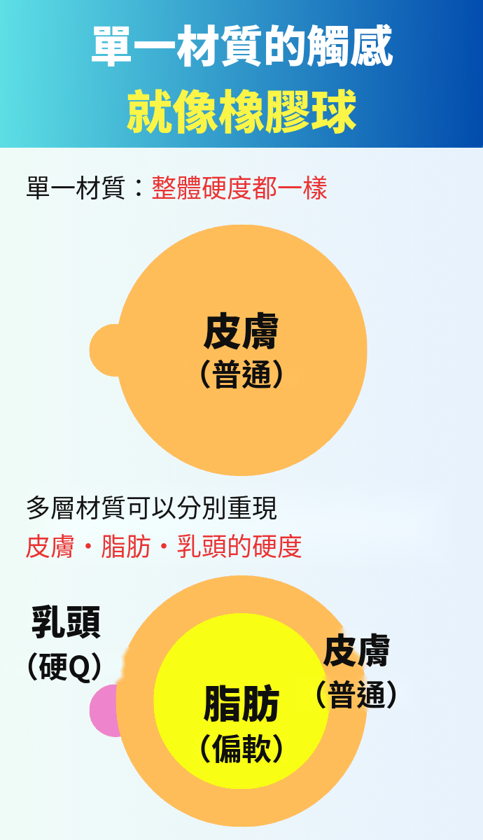歐派飛機杯不要選單一素材,要選多層素材
