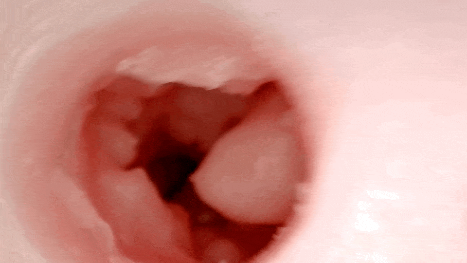 ぐちょ濡れ名器MONSTERキメラ 的內部探索