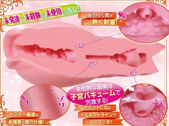 蘿莉子宮2的內部結構