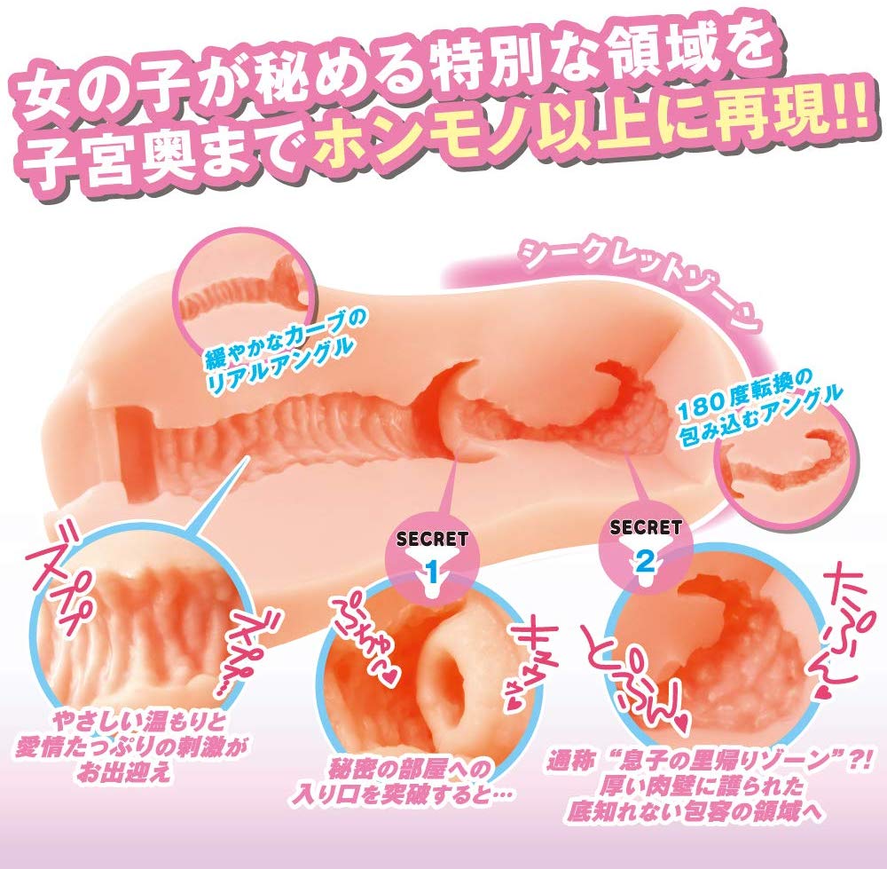 G-19 秘密子宮的內部結構