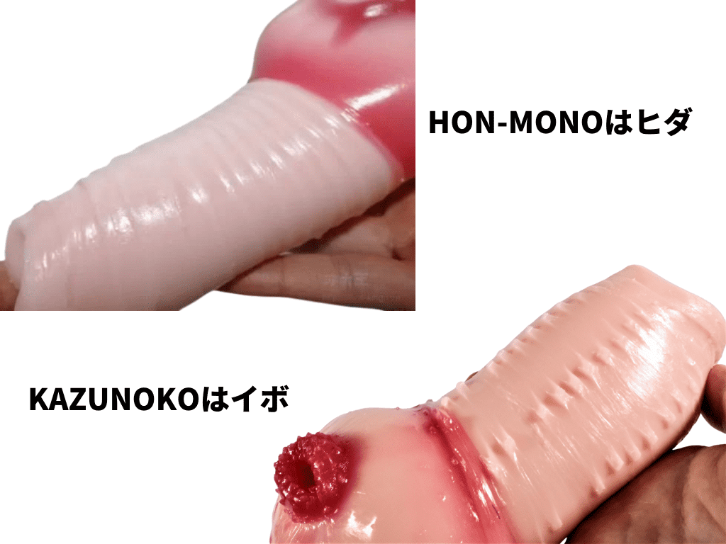 生 HON-MONO初代與KAZUNOKO的差異