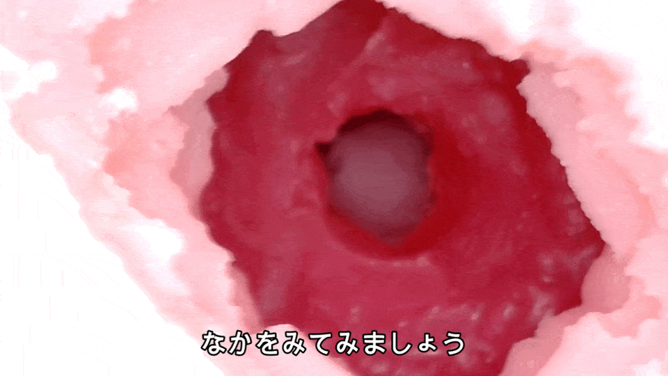 【純潔注意】EXTRA-VIRGIN處女宮的內部GIF