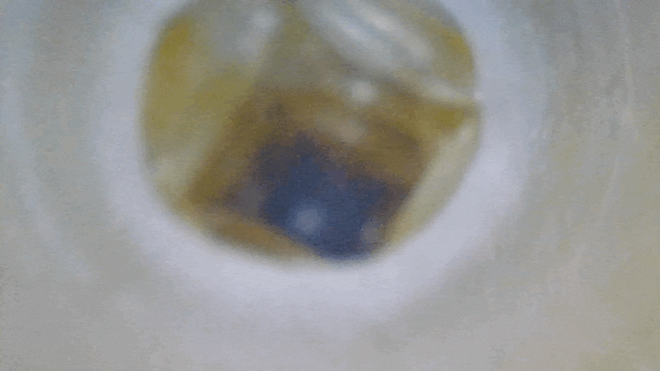 TENGA SPINNER（スピナー） DX 02BUMPS 的內部攝影