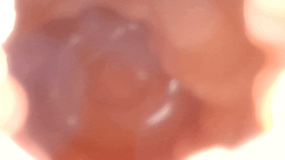 ぷにばーじんREAL的吸引模式