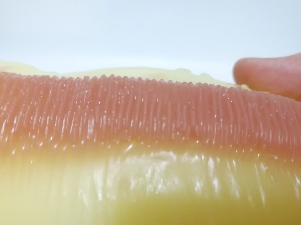 ダブルフェラ魔チオ的皺褶舌（姊姊部分）