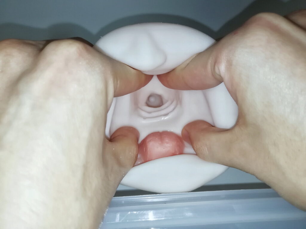 極フェラ４的內部結構