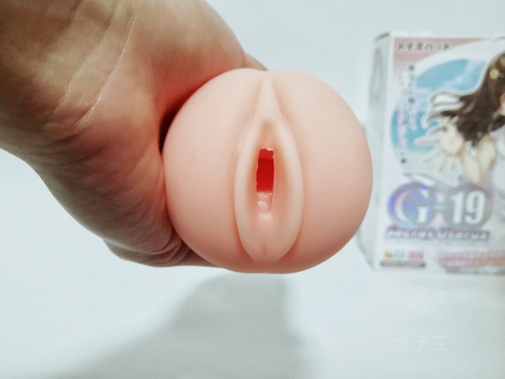 G-19 秘密子宮的插入口