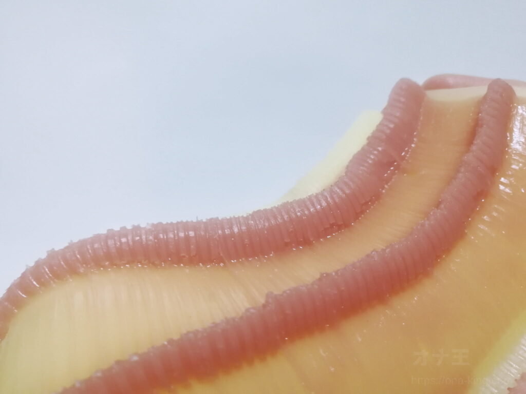 触手裏剣すじズリ Q彈的皺褶