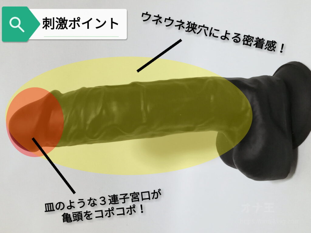 Dolphin!(ドルフィン)的刺激點