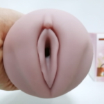 ヴィーナスリアル的入口