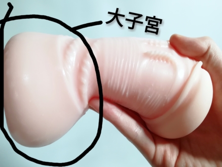 吸引注意 魔女的誘惑的子宮區
