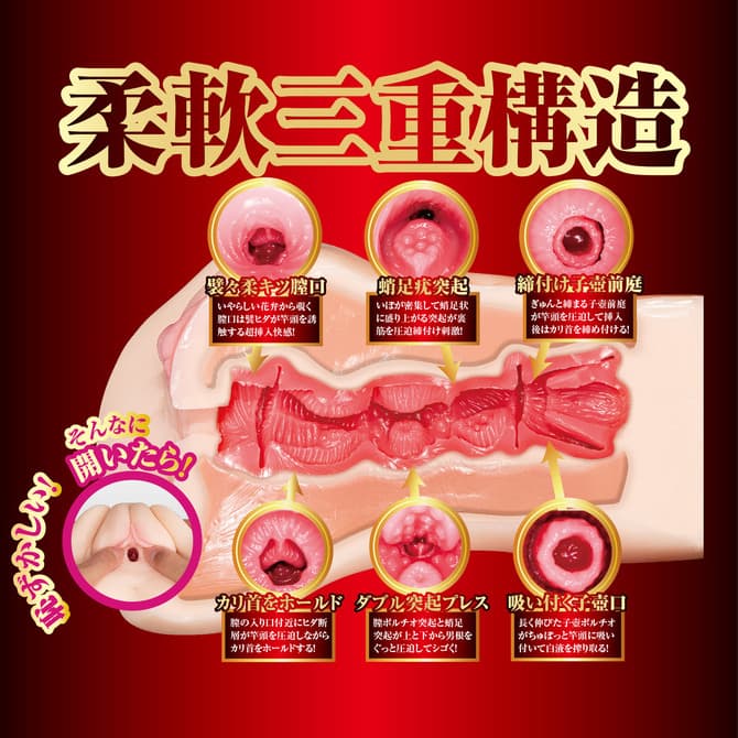 榮譽的名器 橋本有菜的內部結構
