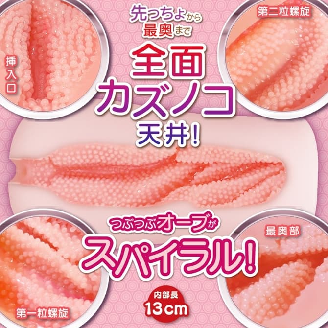 螺旋軟Q肉芽SOFT的內部結構