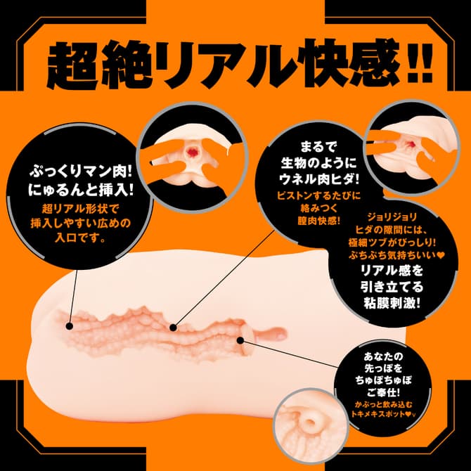 普妮安娜電動飛機杯 REAL的內部結構