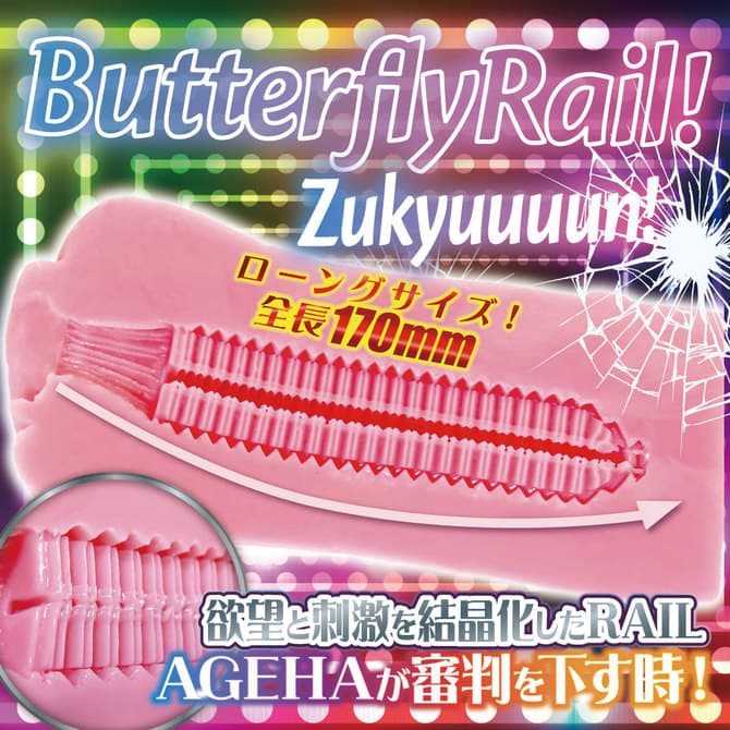 蝴蝶軌道AGEHA的內部結構