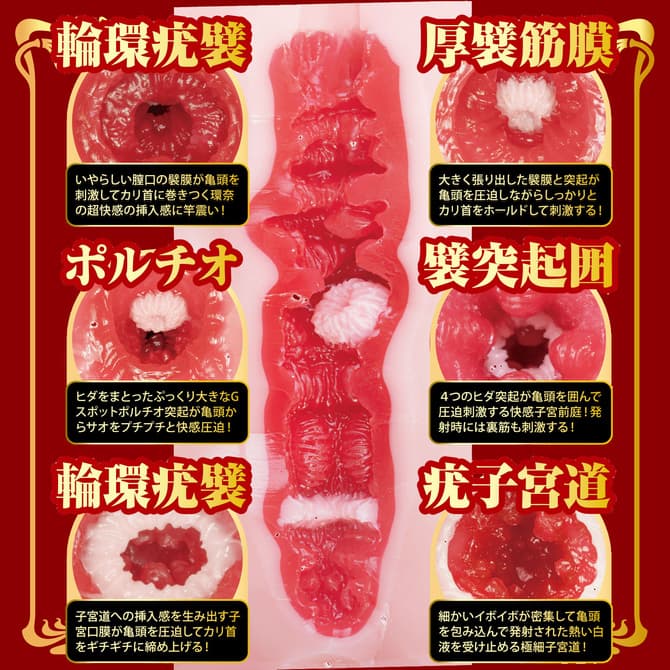 名器的証明 No.016 特別版 瀨戶環奈 的內部結構