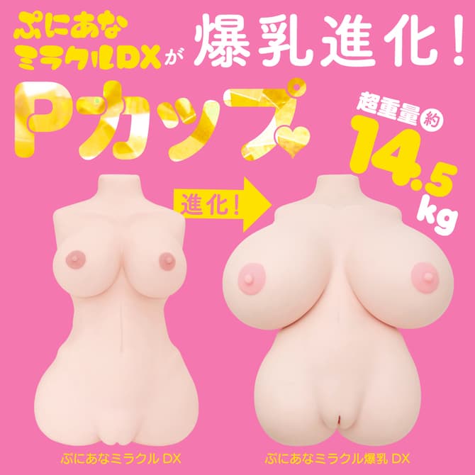 ぷにあなミラクル爆乳DX